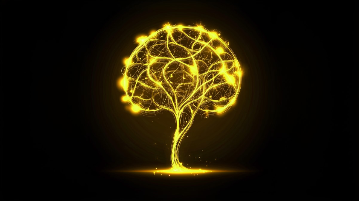 Knowledge Democratization at Memoro