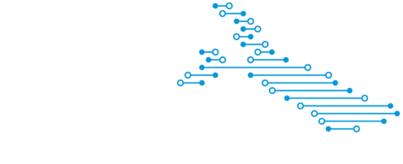 Cyberlago